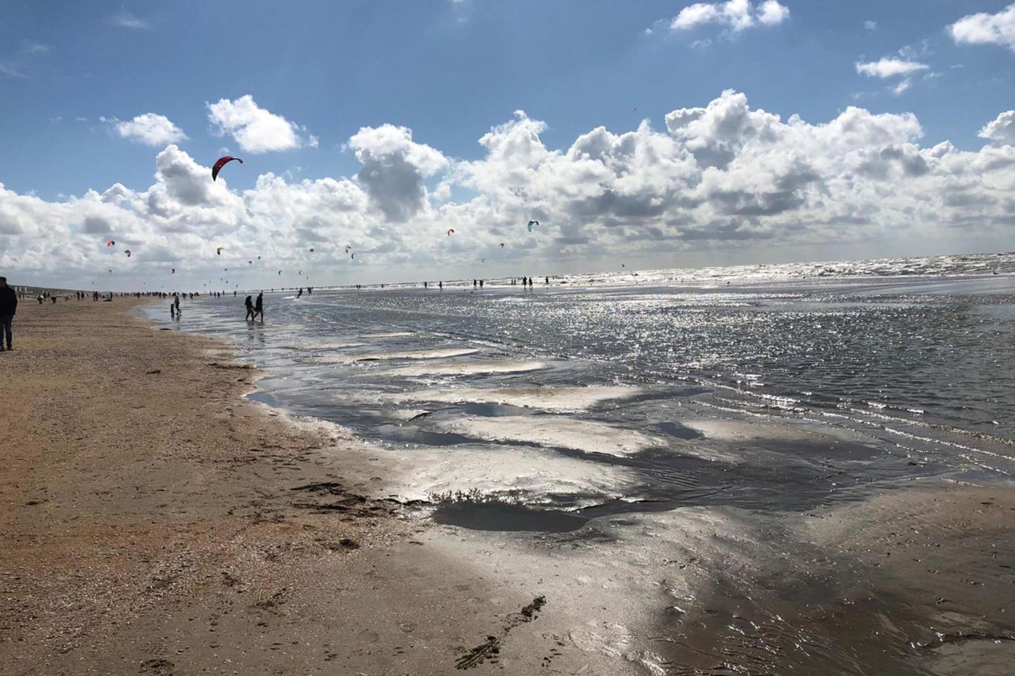 Shell 61 Daire Zandvoort Dış mekan fotoğraf