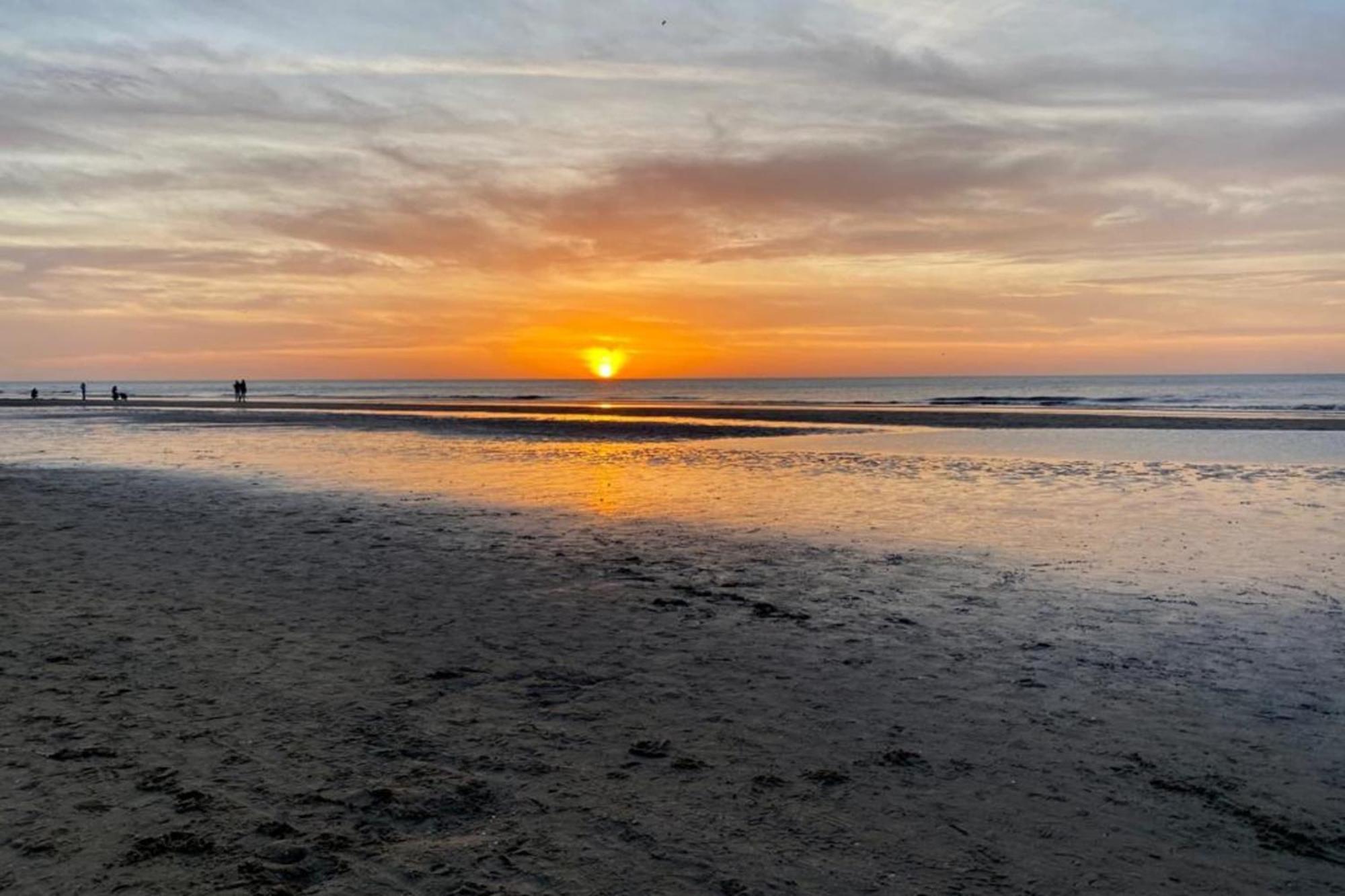 Shell 61 Daire Zandvoort Dış mekan fotoğraf